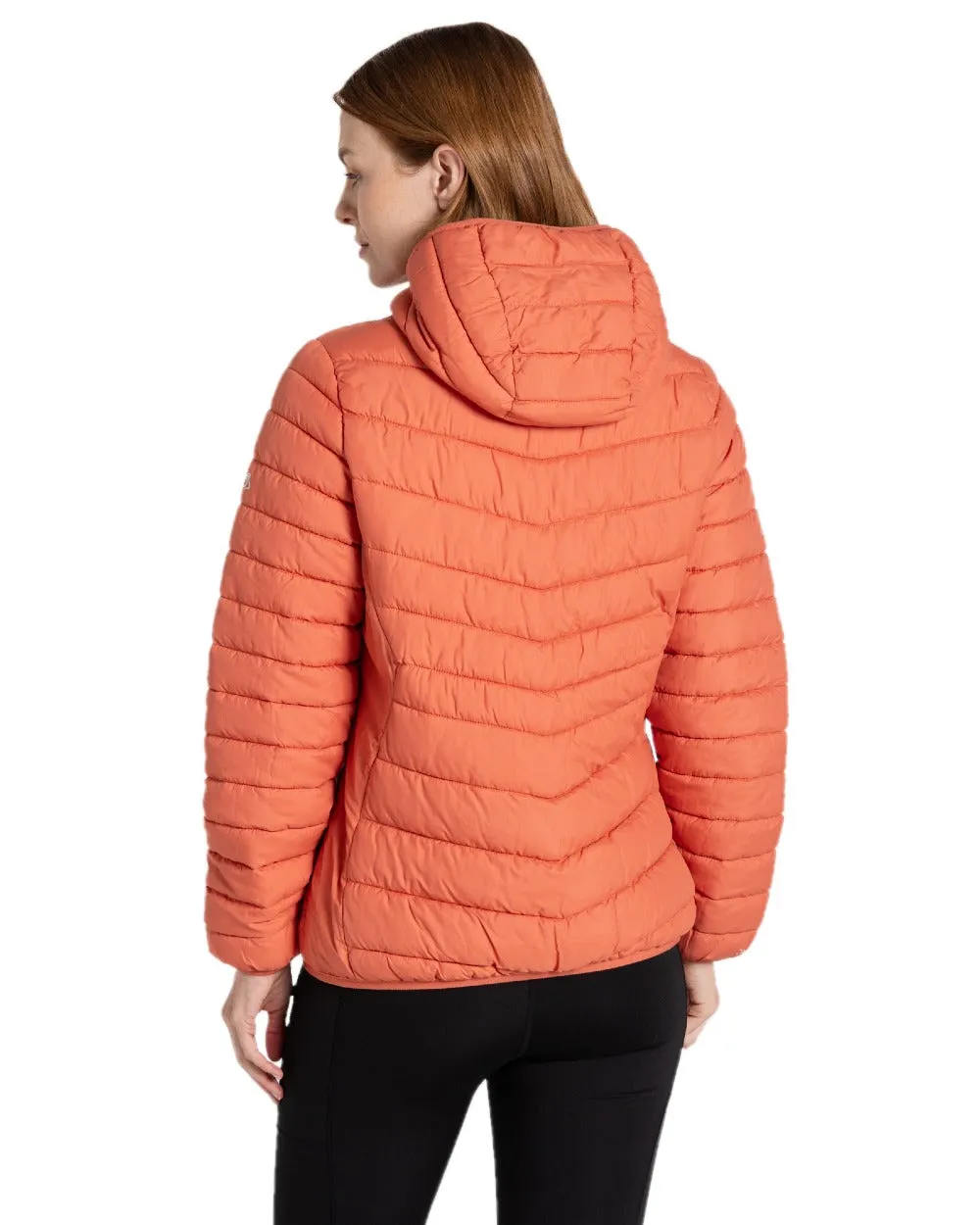 Craghoppers Womens Compresslite IX Hooded Insulating Jacket