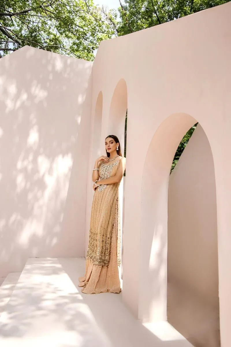 Malook - Chandni - Chiffon - Fawn - 3 Piece
