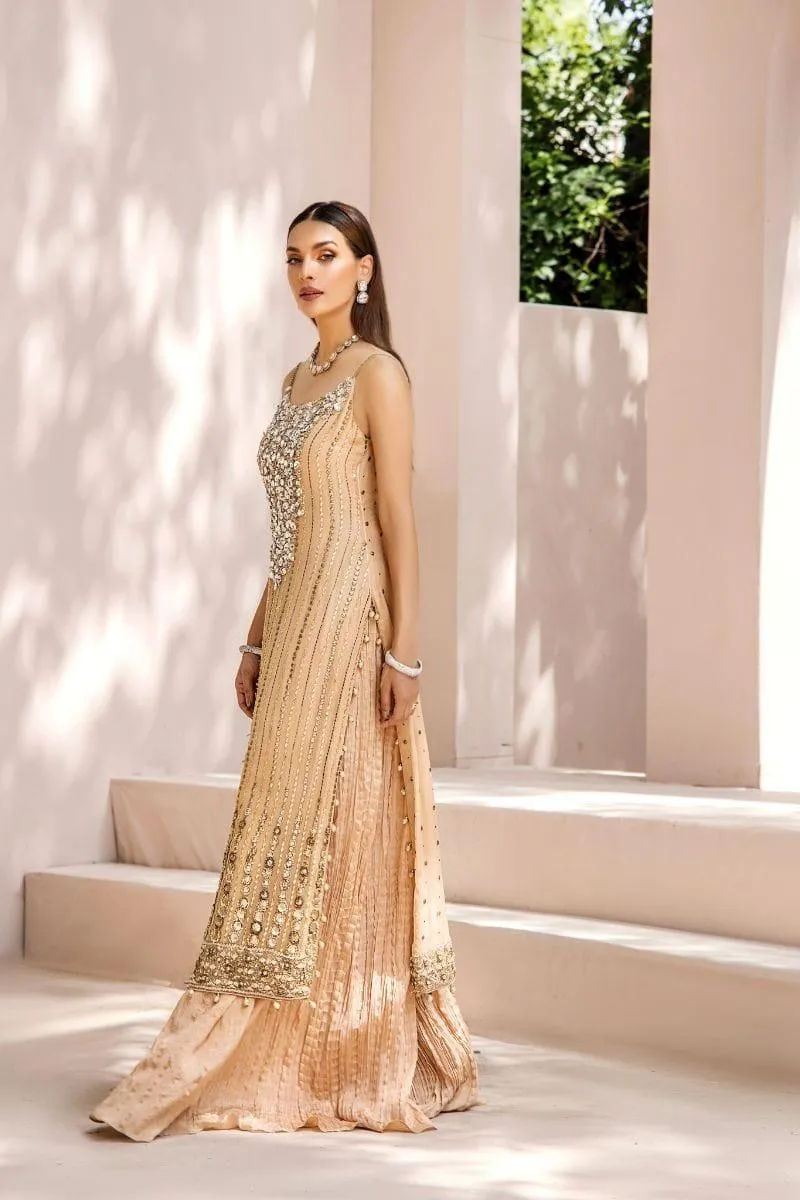 Malook - Chandni - Chiffon - Fawn - 3 Piece