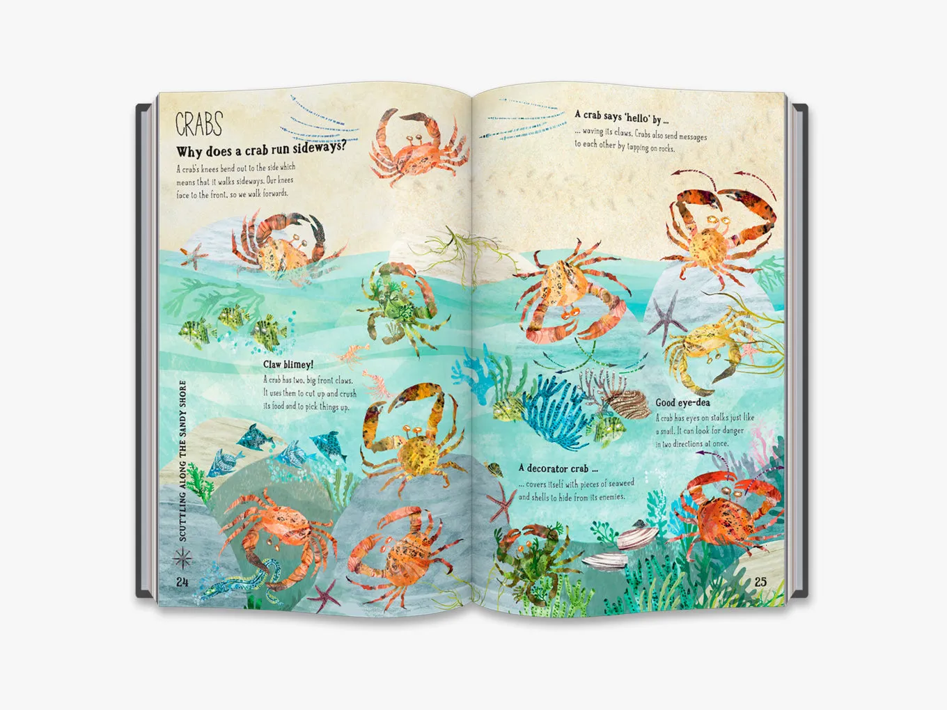 The Big Book of  Blue (4-7y)