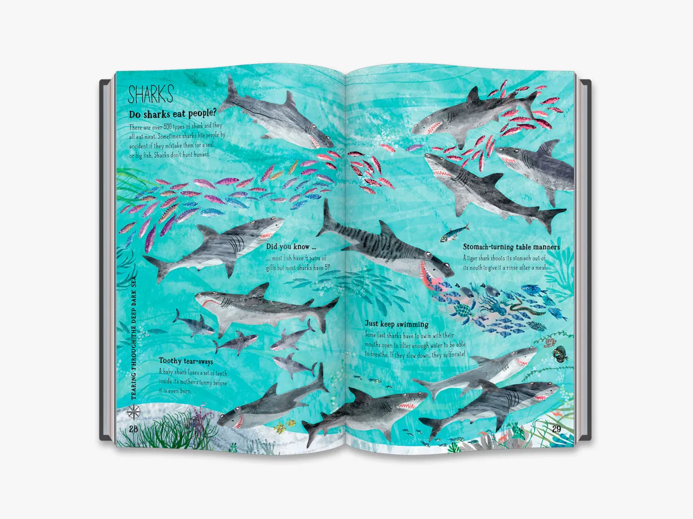The Big Book of  Blue (4-7y)