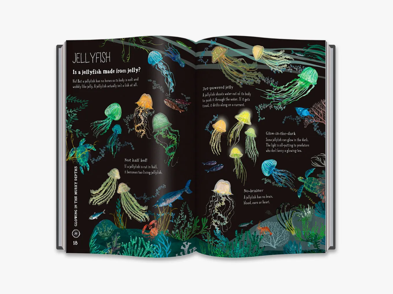 The Big Book of  Blue (4-7y)